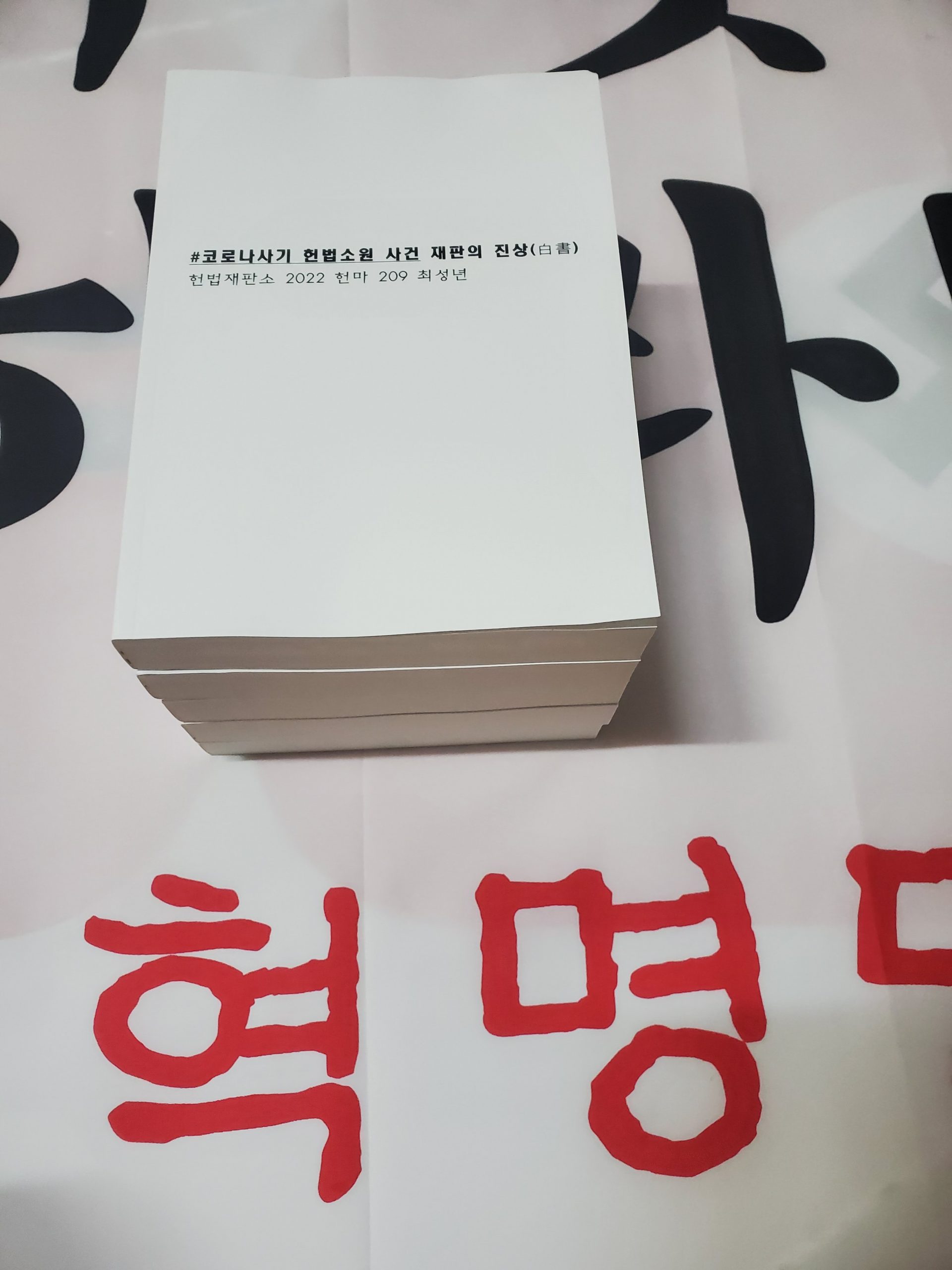 #코로나사기 헌법소원 ‘결정문’
